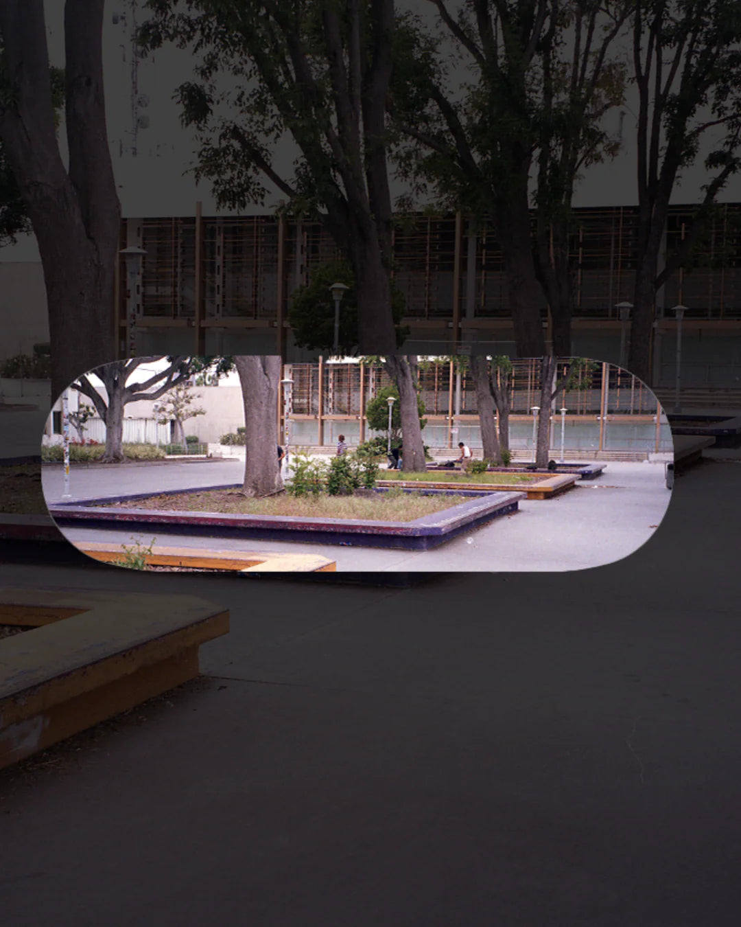 Devise Photo Series 02 "Santa Monica Courthouse" Fingerboard Deck Fingerboard Decks Devise Slushcult