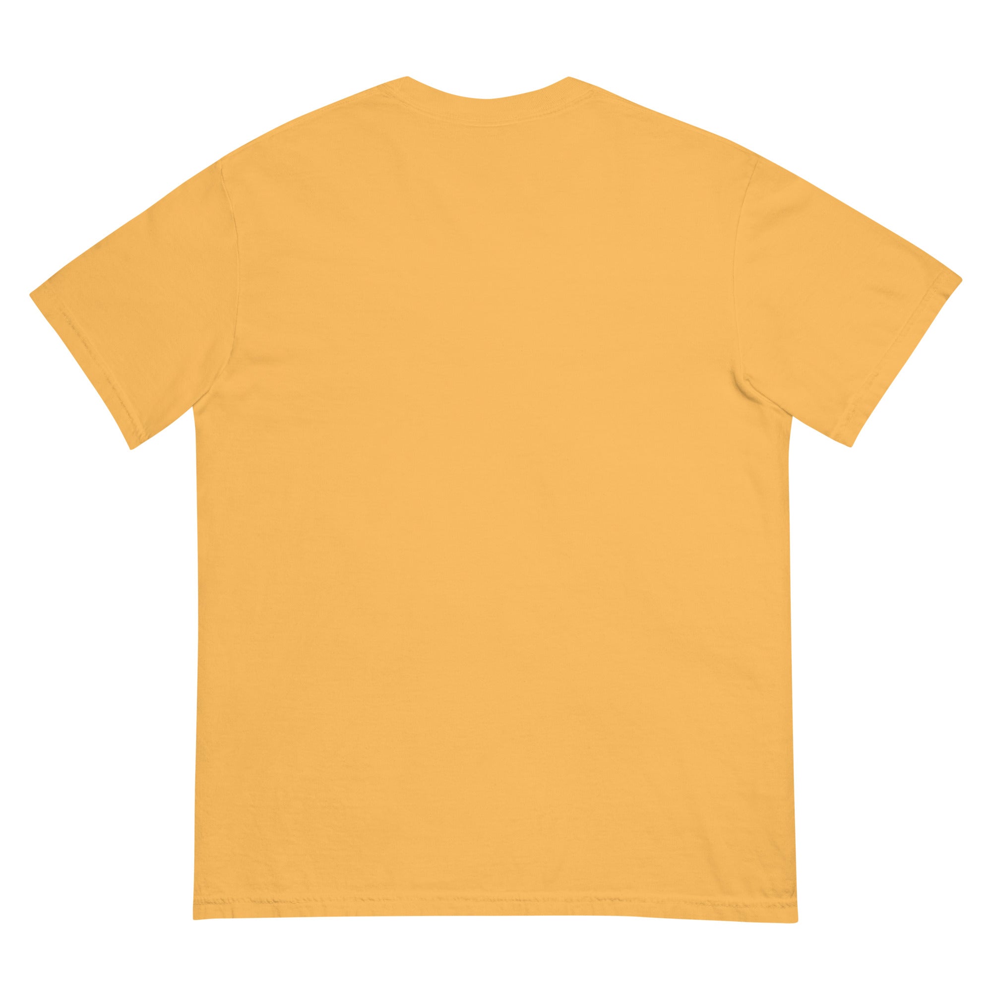 STARZ PREMIUM TEE Tees Slushcult Slushcult
